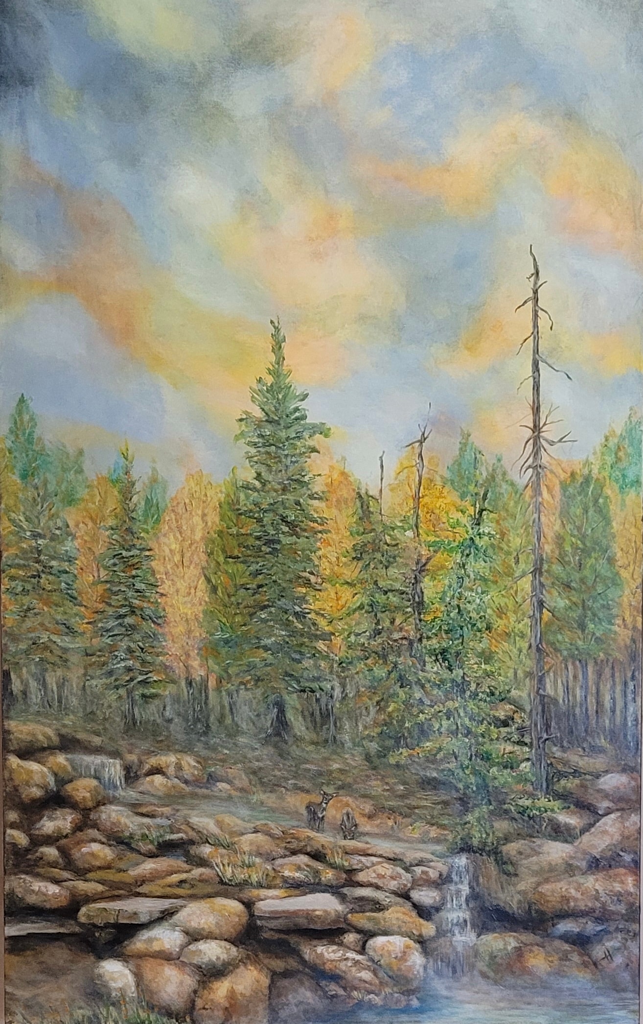 A Walk in the Boulders Trail
