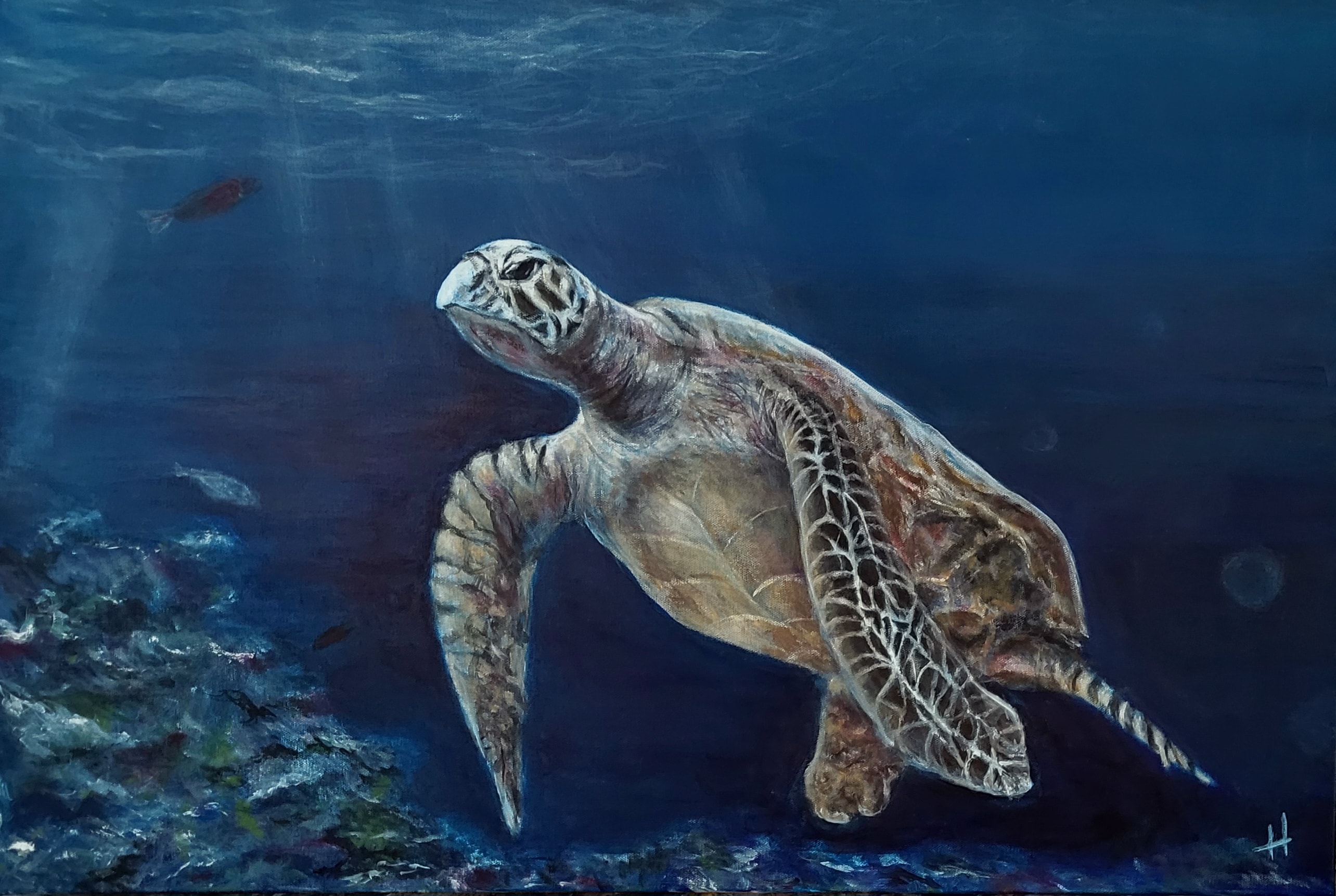 Jewel of the Sea