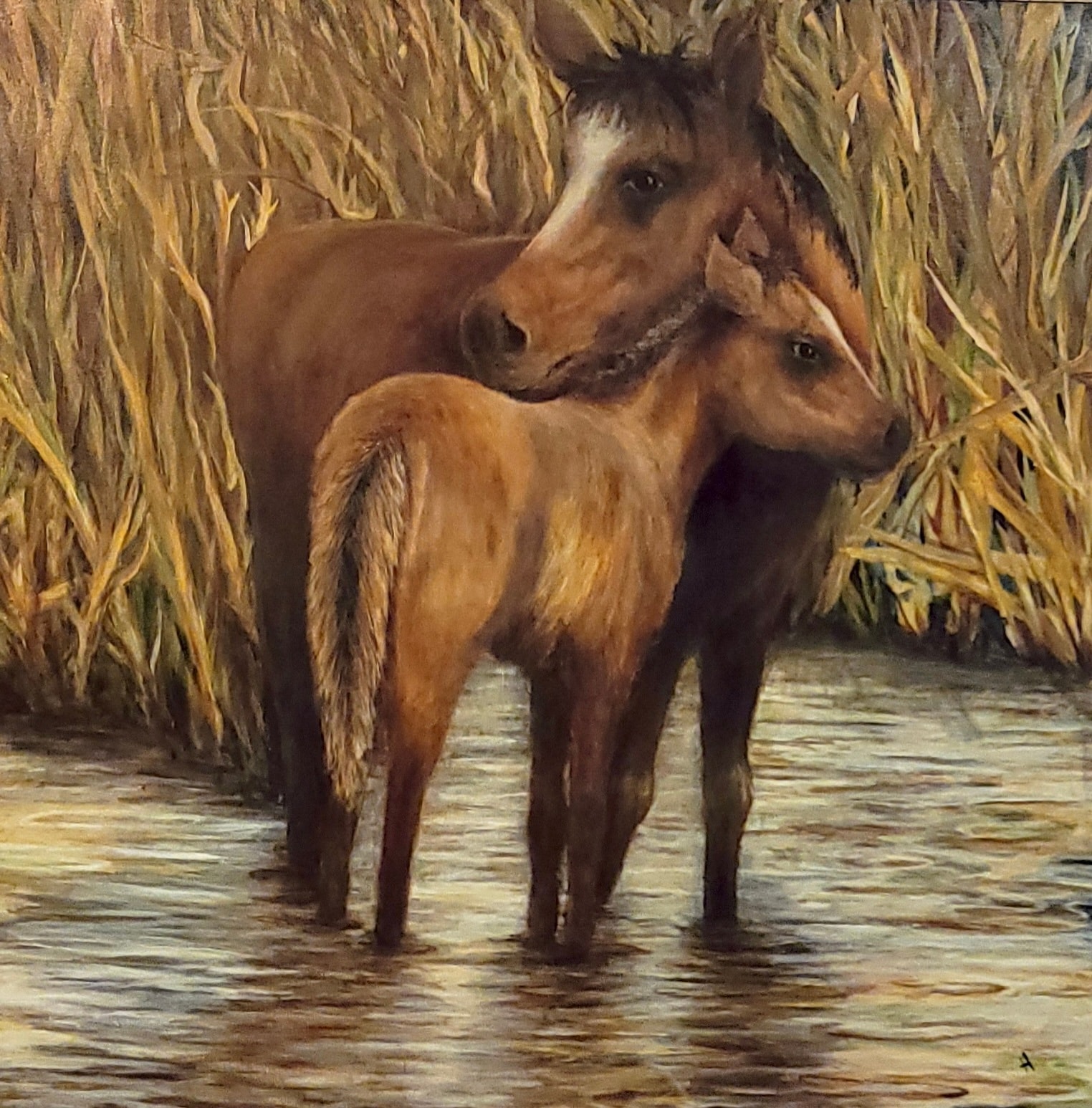Salt River Beauties
