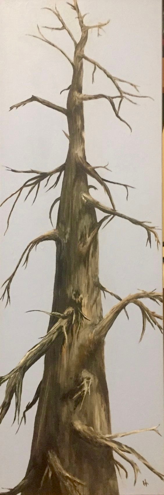 Snag on Nine