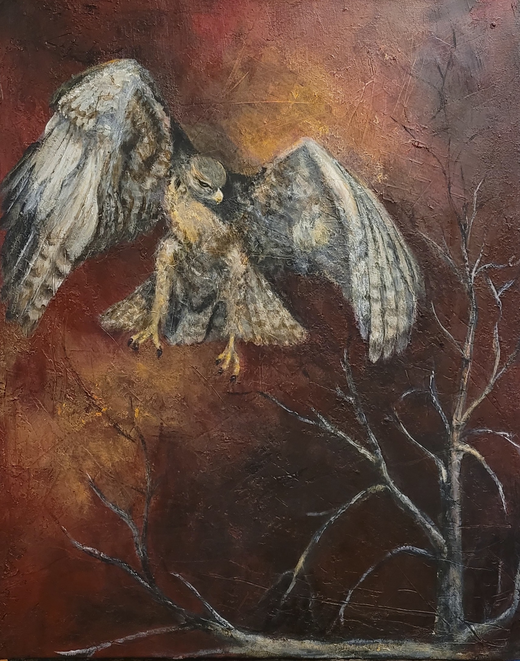 Spirit of the Hawk
