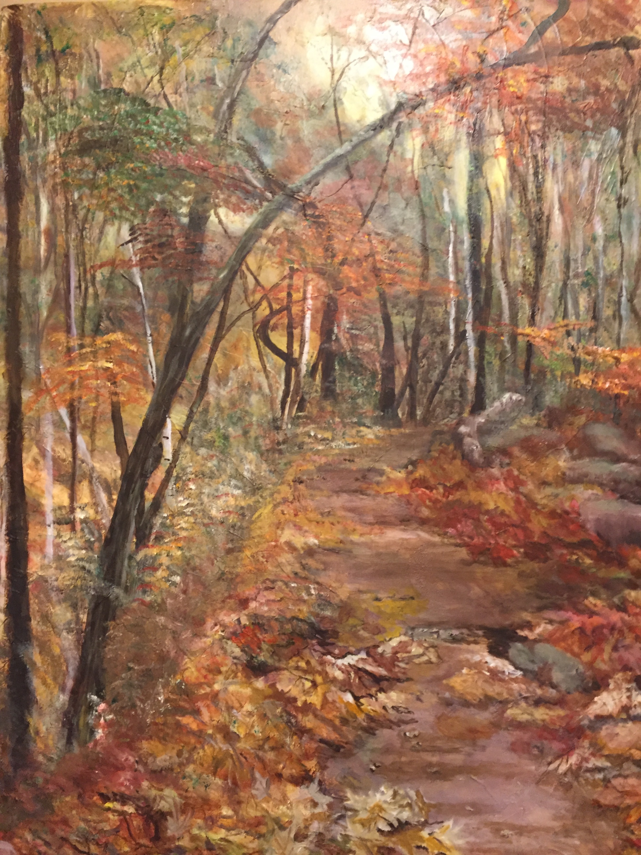 A Walk in the Woods